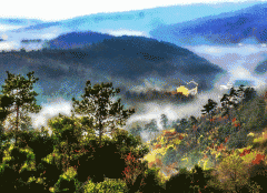 “乡创”并不是一个好生